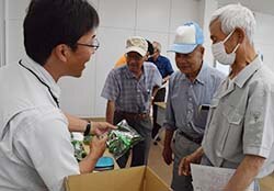 出荷規格を確認する生産者