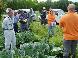 圃場にて出荷要領を確認する生産者