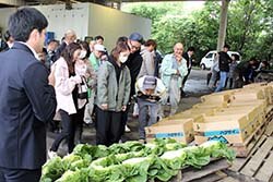 出荷規格を確認する生産者