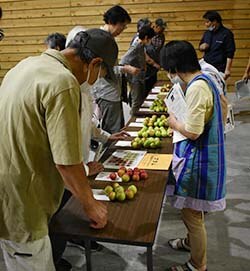 プラムの目揃会