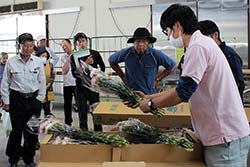 出荷基準を確認する目揃え会
