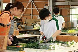 カーネーションを選花する生徒