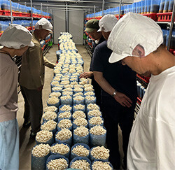 株式会社bヒットの工場を視察する生産者ら
