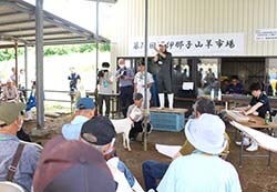 活気ある競りが行われた子山羊市場