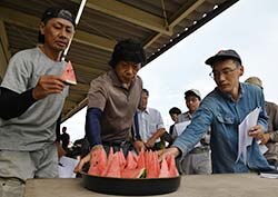 試験品種を試食する参加者