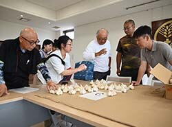 出荷規格を確認する生産者