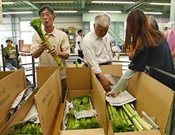 荷姿(出荷物)を確認する生産者
