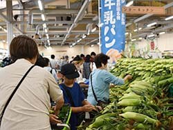 トウモロコシの品定めをする来場者
