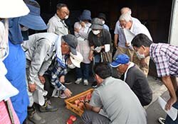 出荷規格を見本果で確認する生産者