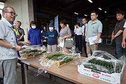文出集荷所開きで行ったキュウリの査定会