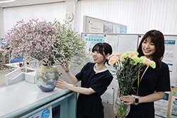 カーネーションとサマーチェリーを花瓶に生けてJA本所金融部の窓口カウンターに飾る職員