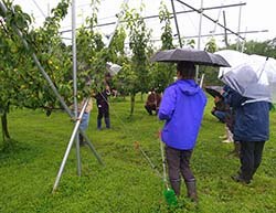 圃場で北沢さんの説明を熱心に聞く参加者ら