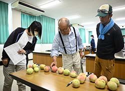 見本を手に取って確認する生産者