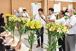 出品された花きを見比べ行う審査