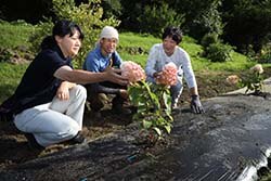 「インディアンサマー」の生育を見守るメンバー。花は今後、鮮やかな赤色に色づくという