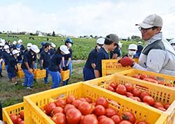 出荷コンテナを積み上げる丸山さん（右）とコンテナを運ぶ生徒たち