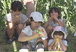 おいしそうにスイートコーンをほおばる子どもたち