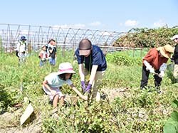 高校生と力を合わせて“よいしょ”