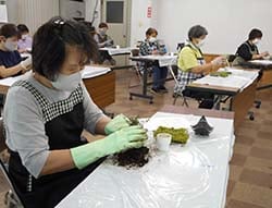 苔玉を作る参加者
