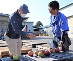 見本を見ながら出荷規格を確認する生産者