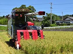 管内の稲刈りのスタートを切った（株）中坪ノーサン