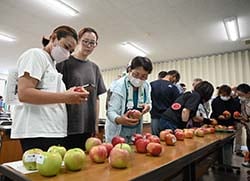 見本を見ながら出荷規格を確認する生産者