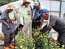 生産者から栽培方法をきく参加者