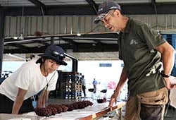 ぶどうの出荷規格を確認する生産者（27日、長野県松本市で）
