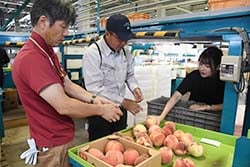 手選格外品について生産者（中）に説明する職員