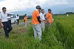 伊那市西箕輪の圃場で生育の状況を確認する出席者