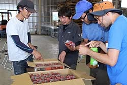 色や形を確認する会員