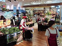 生産者が直接PRしたスーパーのきゅうり売り場