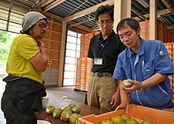 出荷規格を確認する生産者