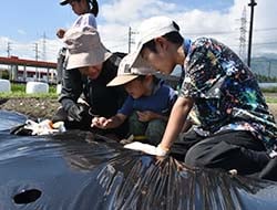 大根の種を撒く参加者