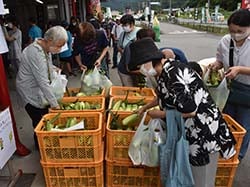 スイートコーンを買い求める来店者