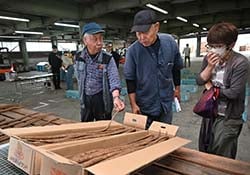 ゴボウの規格を確認する生産者