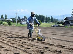 播種機「ごんべえ」で種をまくメンバー