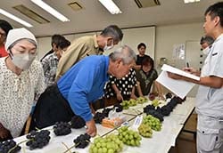 サンプルの品質を確認する部会員ら