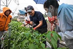 ほ場を見学する生産者