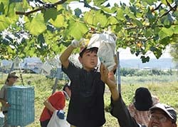 房を支えてもらい収穫する児童