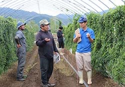 野菜指導員に質問をする生産者（28日、長野県東筑摩郡にて）