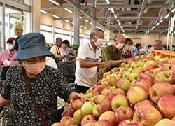 品定めする来場者