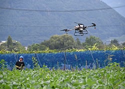 農業用ドローンで大豆畑の防除対策