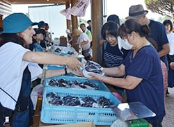 好みのブドウを買い求める来園者（長野県中川村で）