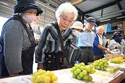 出荷規格を確認する生産者（6日　長野県松本市にて）