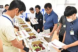 色を確認し厳正な審査をする審査員