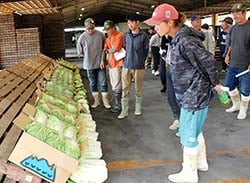 規格を確認する生産者