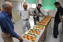 品評会の結果を確認する生産者