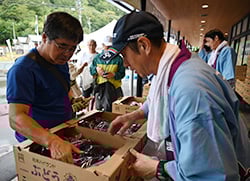 会話を楽しみながら旬のぶどうを買い求めた