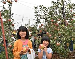 模様の浮かび上がったりんごを持つ参加者ら（安曇野市三郷）